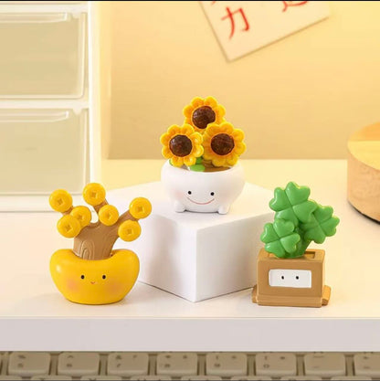 Wealth-bringing plant desktop decoration