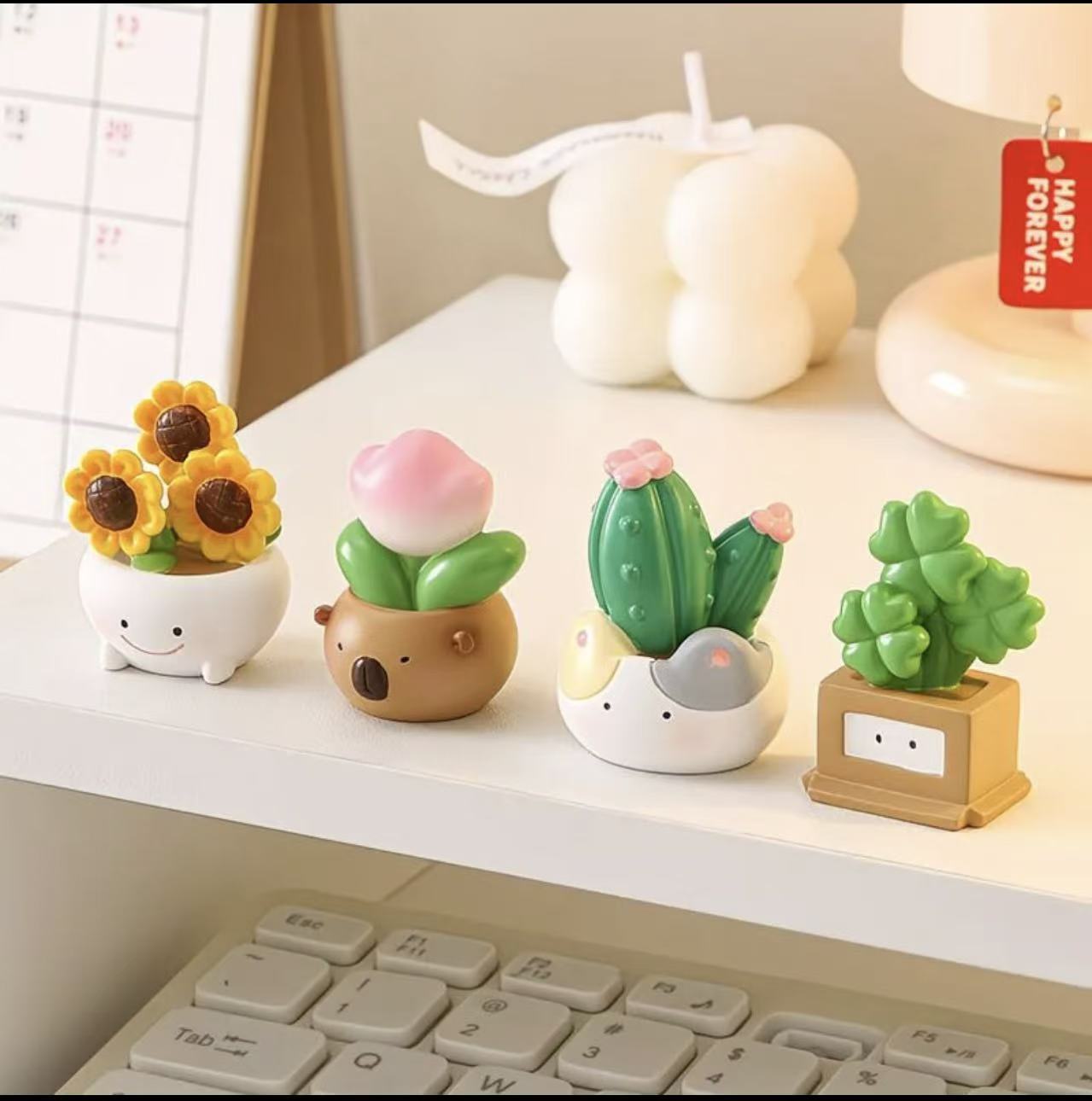 Wealth-bringing plant desktop decoration